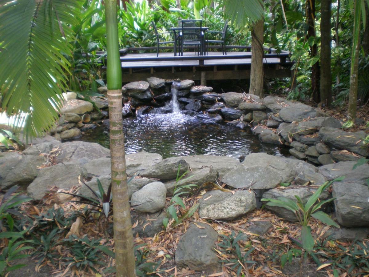 Hidden Gem @ Palm Cove Apartment Ngoại thất bức ảnh